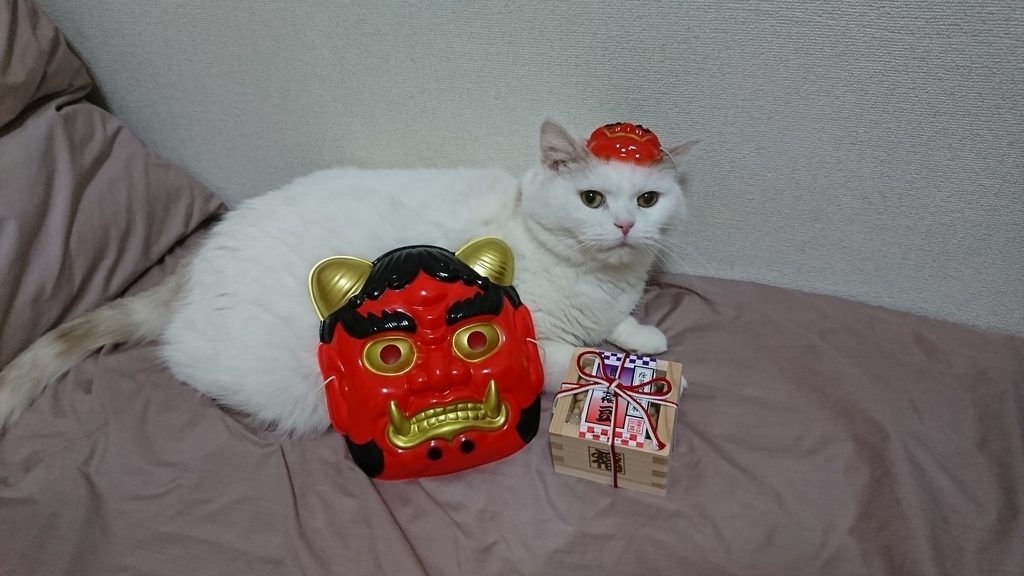 f:id:tsubakimoto_neko:20190215124605j:plain f:id:tsubakimoto_neko:20190215124605j:plain