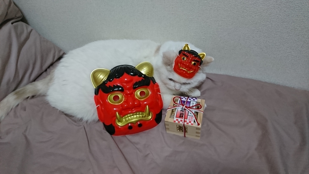 f:id:tsubakimoto_neko:20190215124747j:plain f:id:tsubakimoto_neko:20190215124747j:plain