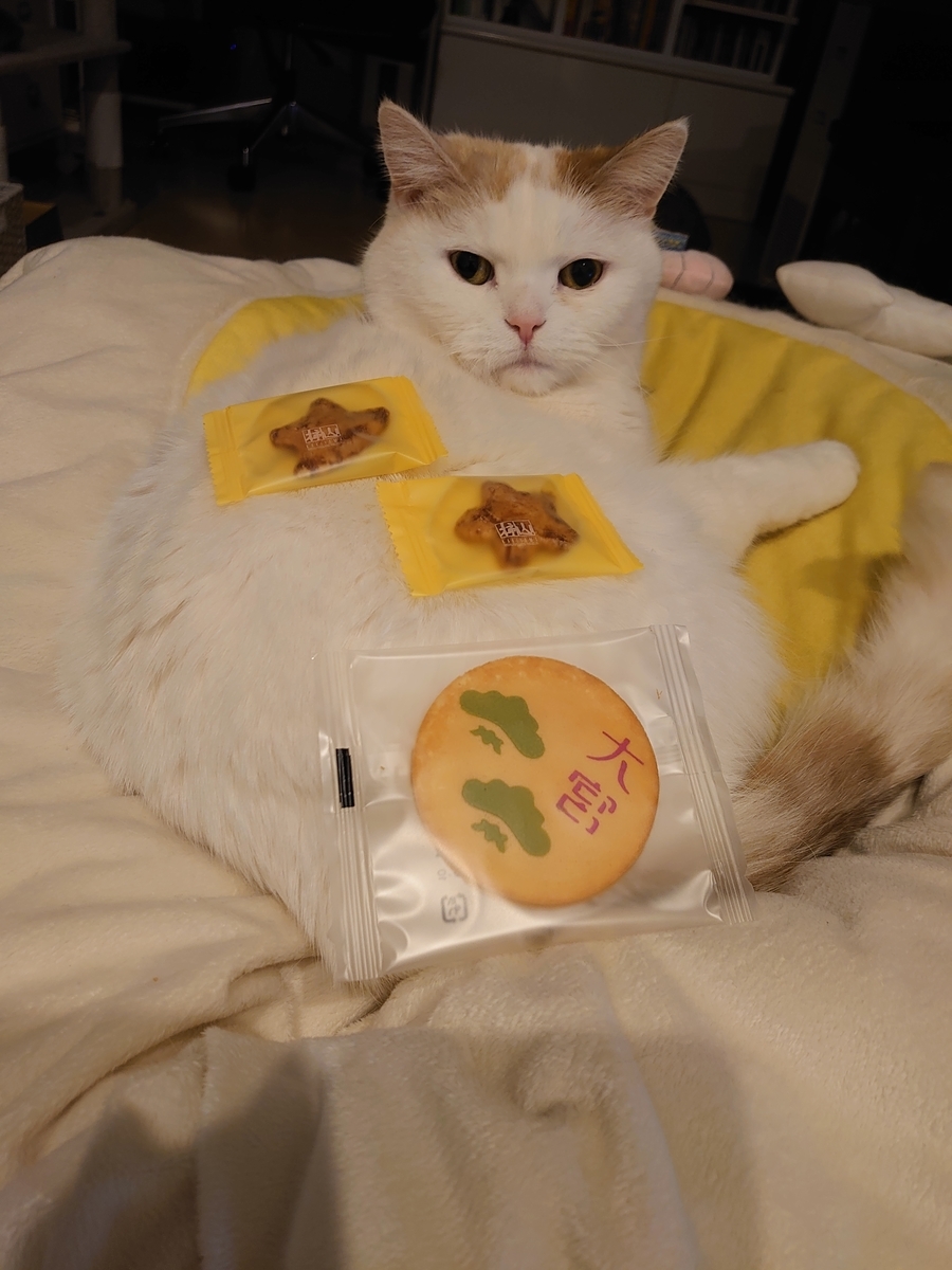 f:id:tsubakimoto_neko:20210328165528j:plain