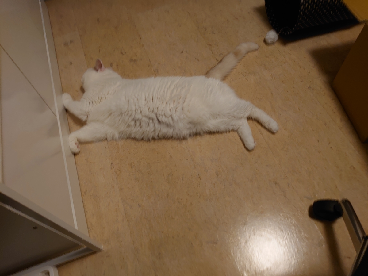 f:id:tsubakimoto_neko:20210809141224j:plain