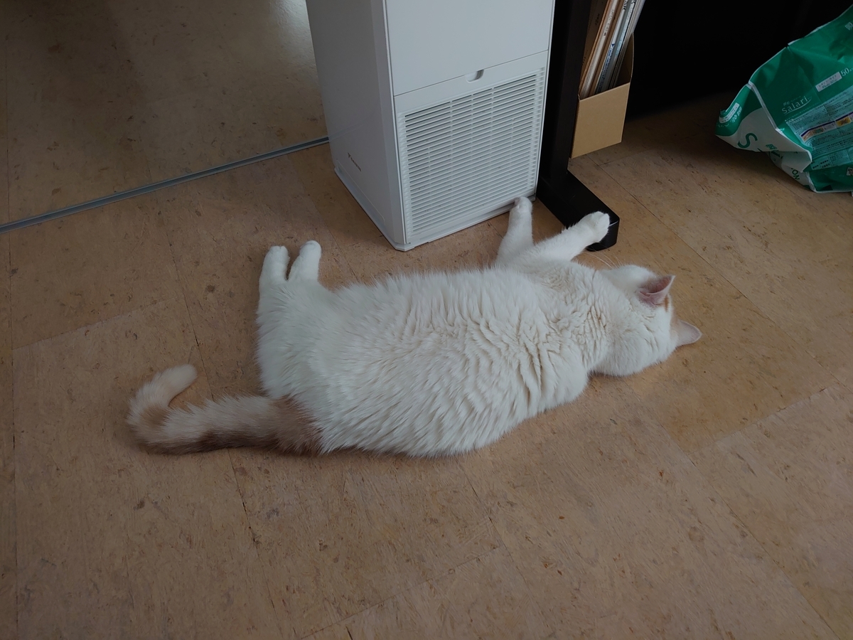 f:id:tsubakimoto_neko:20210809141448j:plain