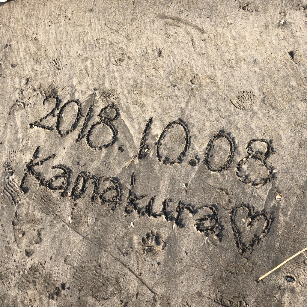 f:id:tsubakun:20181008225916j:image f:id:tsubakun:20181008225916j:image