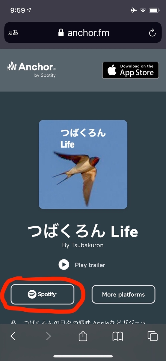 f:id:tsubakuron:20210209101656j:plain