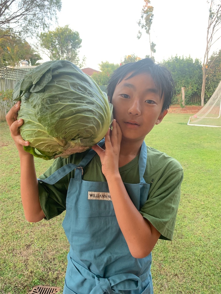 f:id:tsubamecafe:20190927095151j:image f:id:tsubamecafe:20190927095151j:image