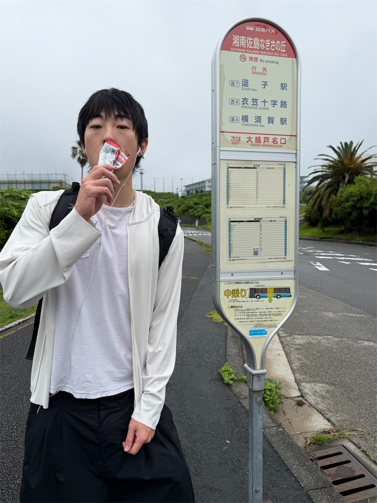f:id:tsubamecafe:20260809134718j:image