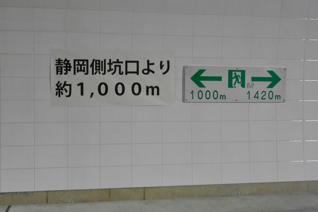 f:id:tsubamekun:20190303232027j:plain