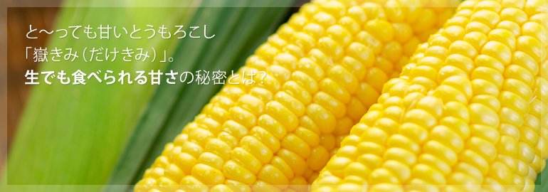 f:id:tsubasanano:20160711095347j:plain