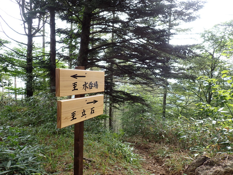 20260911164711
