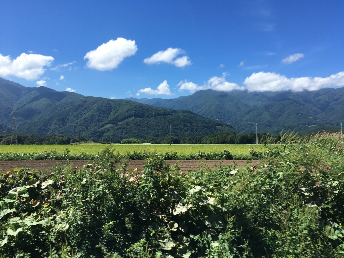 f:id:tsubdra:20190922124553j:plain f:id:tsubdra:20190922124553j:plain
