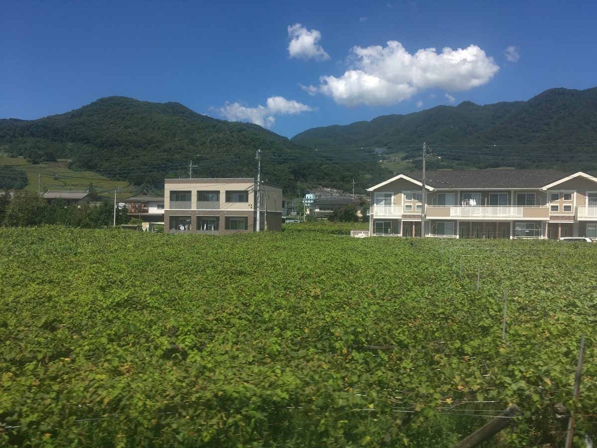 f:id:tsubdra:20190922124800j:plain f:id:tsubdra:20190922124800j:plain