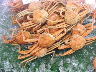f:id:tsuboieye:20120109102852j:image:w360