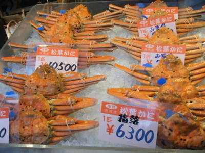 f:id:tsuboieye:20120109103057j:image:w360