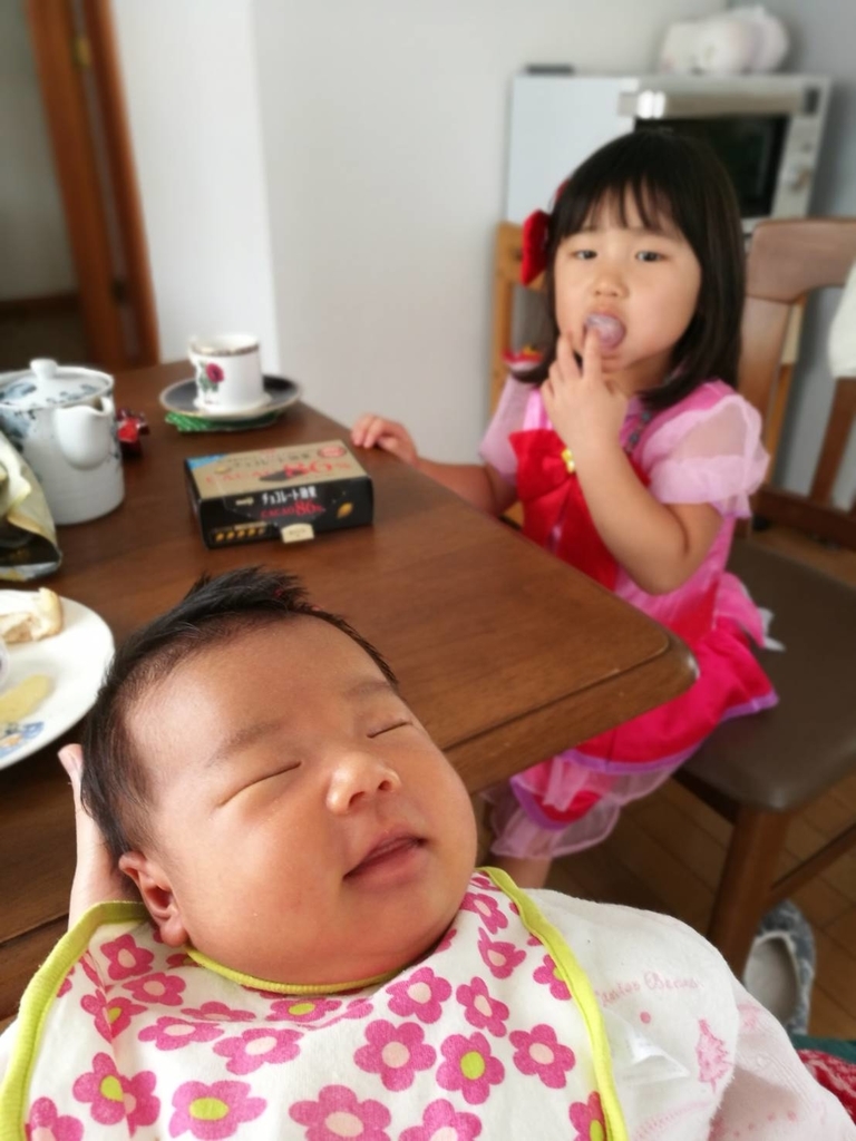 f:id:tsubomania:20190115190829j:plain