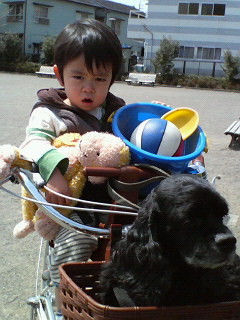 f:id:tsubomimama:20060409113600j:image