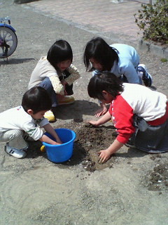f:id:tsubomimama:20060409120200j:image
