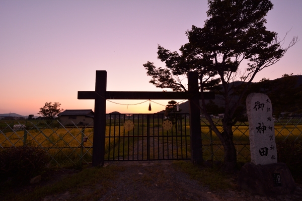 京都新聞写真コンテスト 御神田