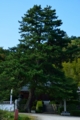 [神社仏閣]雲照山妙感寺
