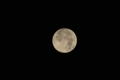 [星空]中秋の名月 400mm×1.3クロップ