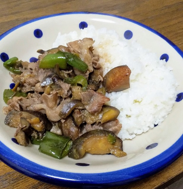 f:id:tsubuyakipapa:20201110220051j:image