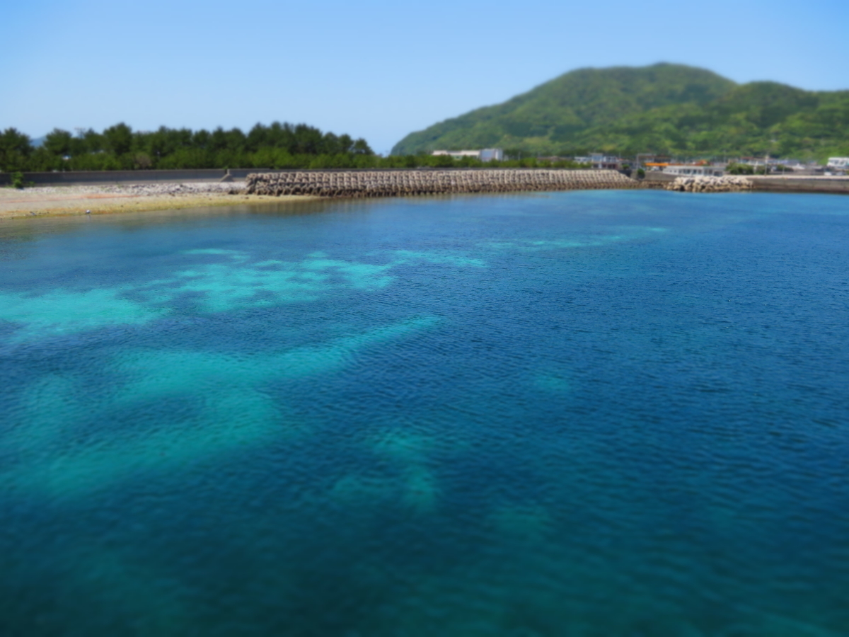 f:id:tsuchankaranotegami:20190505221535j:plain f:id:tsuchankaranotegami:20190505221535j:plain