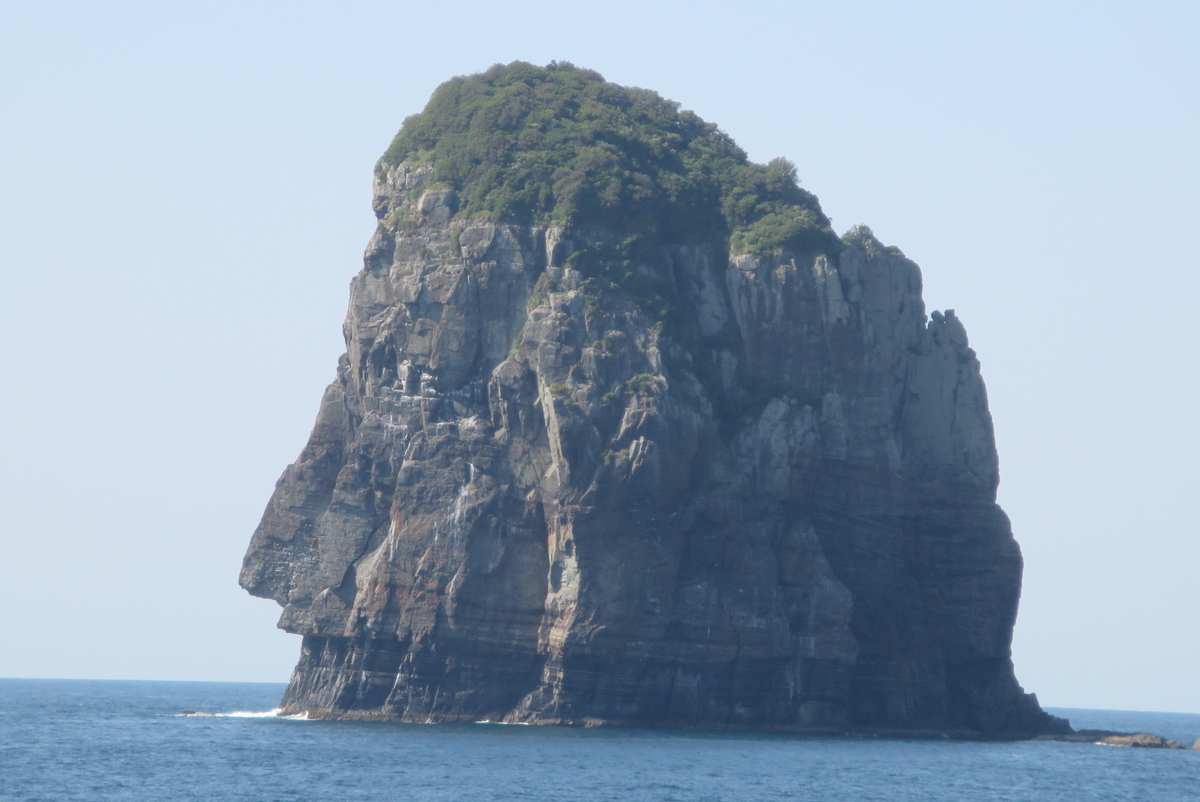 f:id:tsuchankaranotegami:20190505224309j:plain f:id:tsuchankaranotegami:20190505224309j:plain