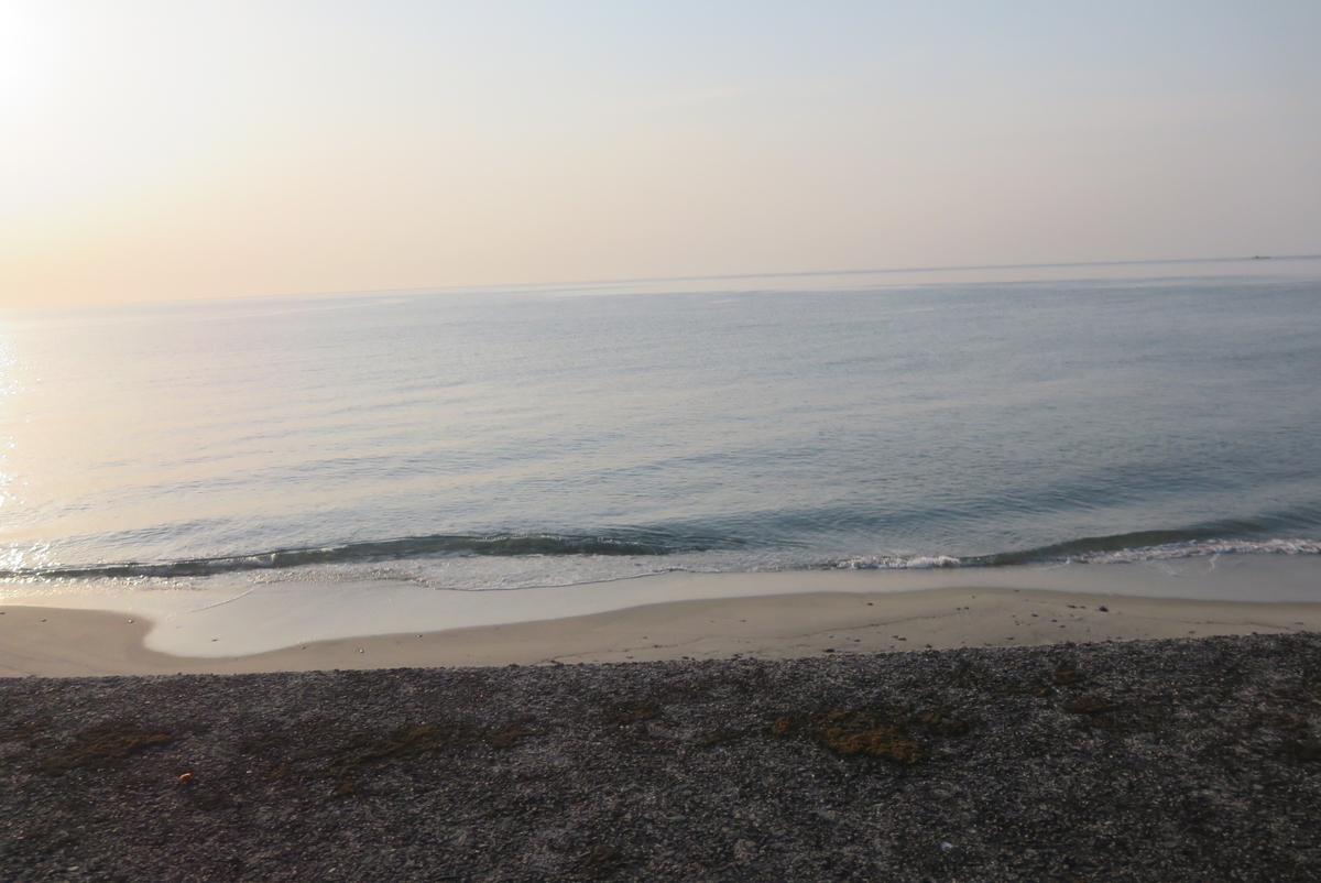 f:id:tsuchankaranotegami:20190505232319j:plain f:id:tsuchankaranotegami:20190505232319j:plain