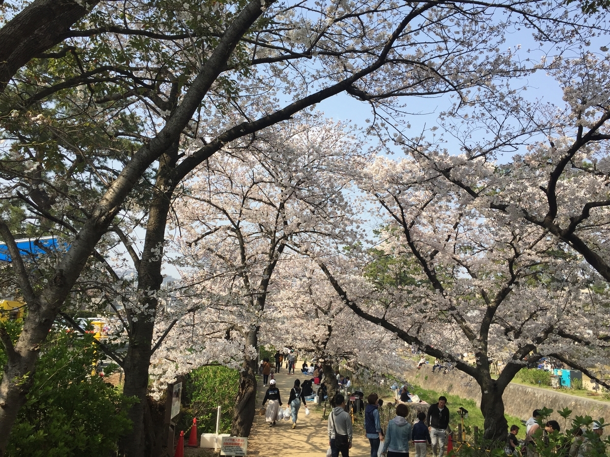 f:id:tsuchifude2:20190407124244j:plain