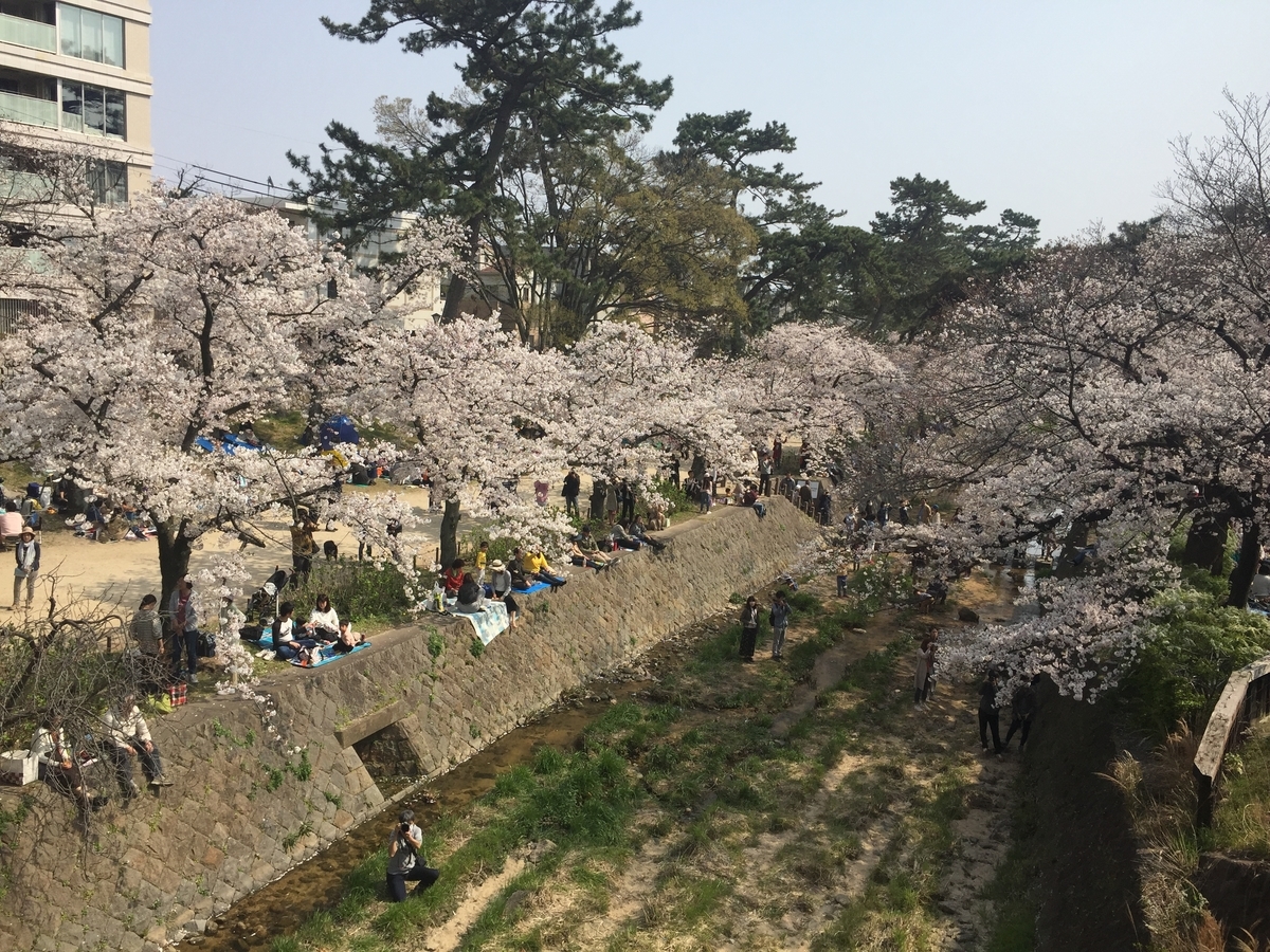 f:id:tsuchifude2:20190407134830j:plain