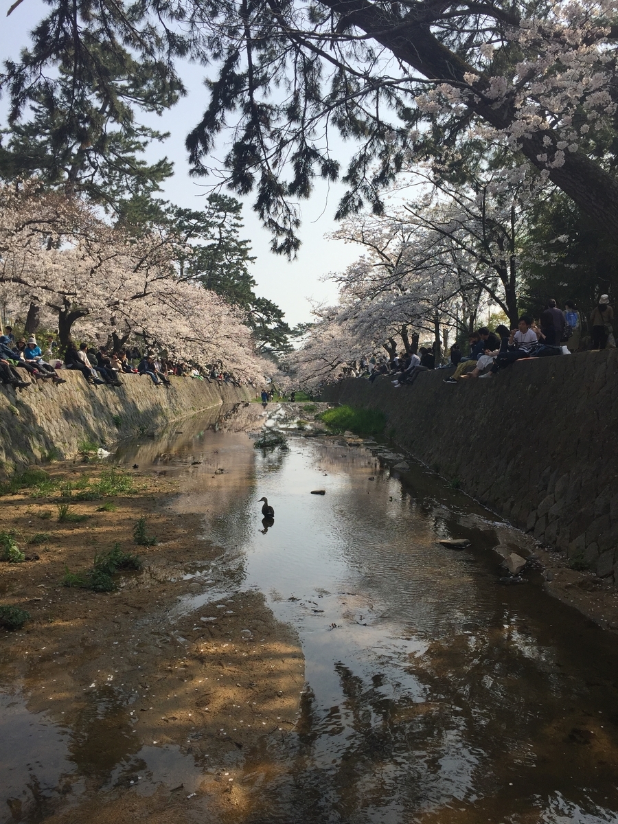 f:id:tsuchifude2:20190407140236j:plain