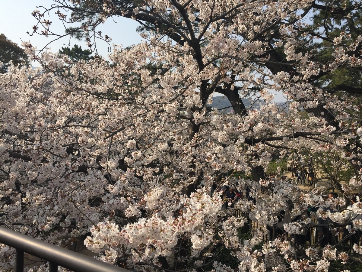 f:id:tsuchifude2:20190407143522j:plain