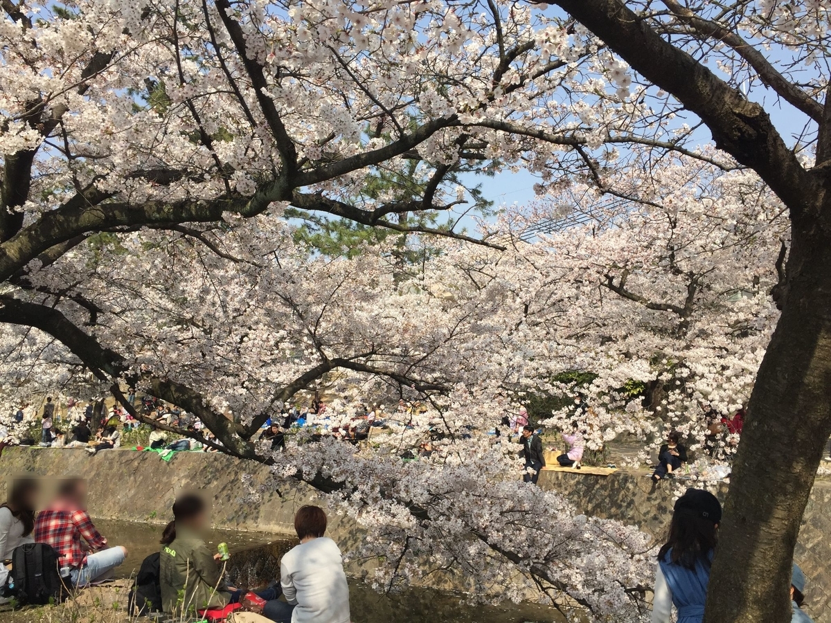 f:id:tsuchifude2:20190407152559j:plain
