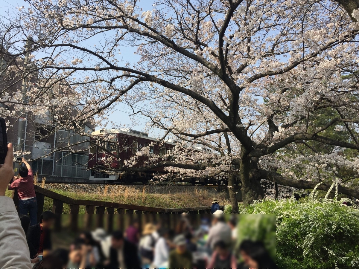 f:id:tsuchifude2:20190407154601j:plain
