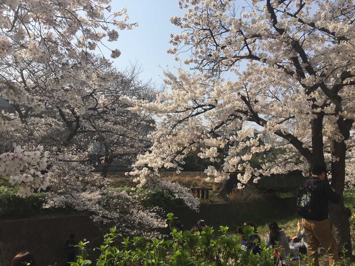 f:id:tsuchifude2:20190407162335j:plain
