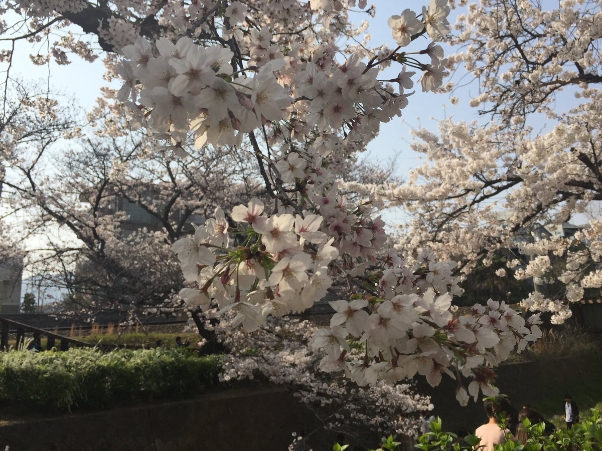 f:id:tsuchifude2:20190407162503j:plain