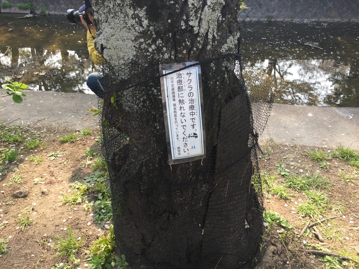 f:id:tsuchifude2:20190407162627j:plain