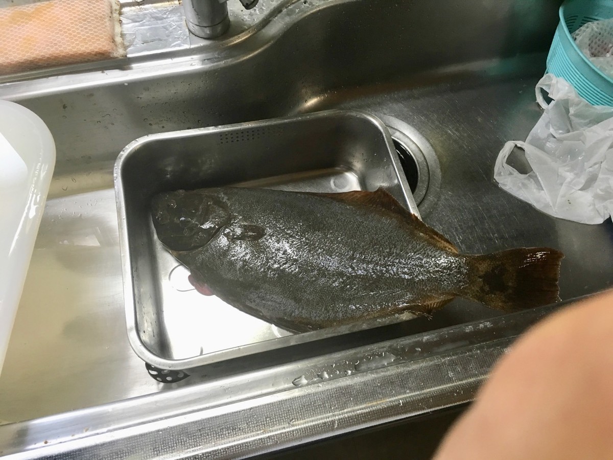f:id:tsuchikura:20190501151820j:plain
