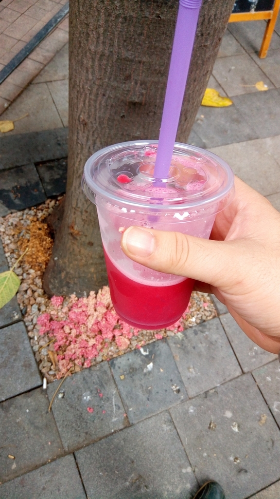 f:id:tsuchinoco2205:20190112225603j:plain f:id:tsuchinoco2205:20190112225603j:plain