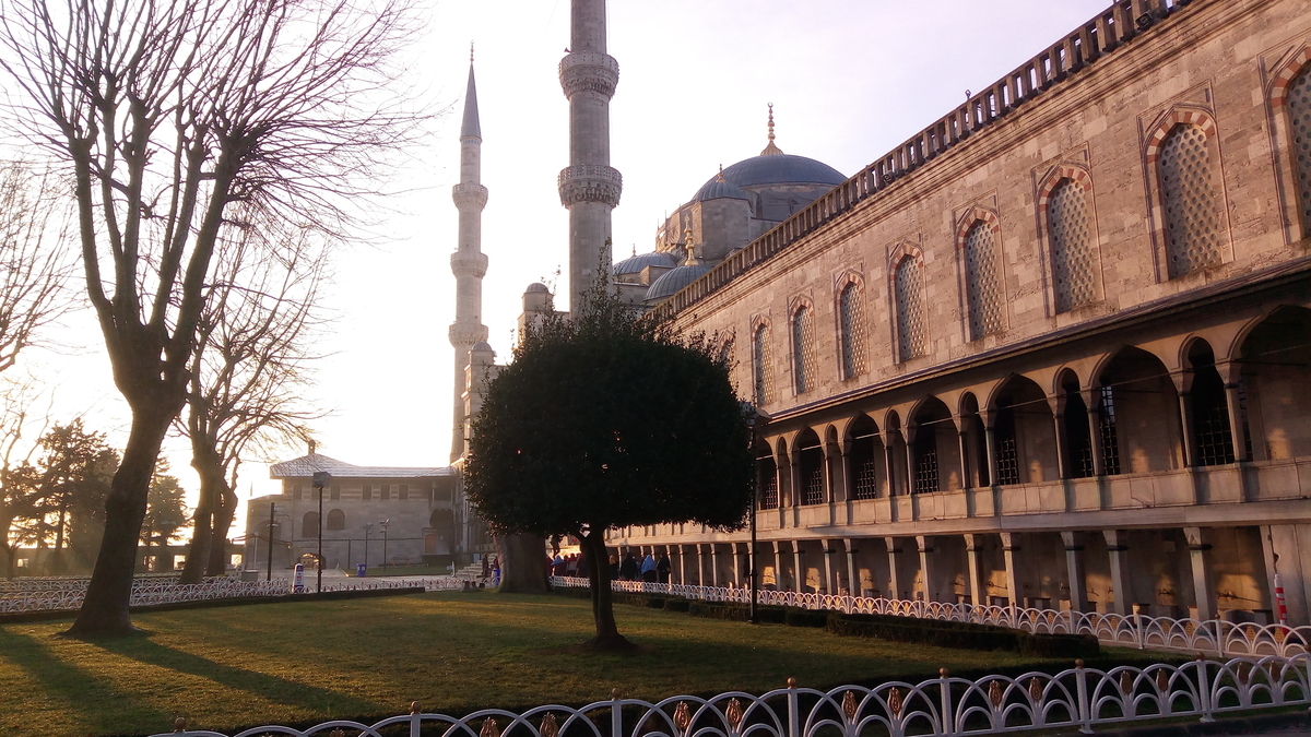 f:id:tsuchinoco2205:20190602231606j:plain f:id:tsuchinoco2205:20190602231606j:plain