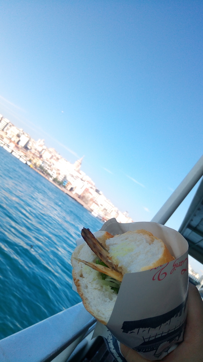 f:id:tsuchinoco2205:20190602232335j:plain f:id:tsuchinoco2205:20190602232335j:plain