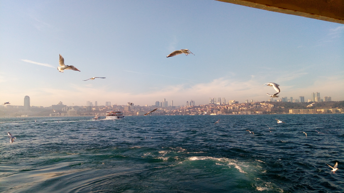 f:id:tsuchinoco2205:20190602232523j:plain f:id:tsuchinoco2205:20190602232523j:plain