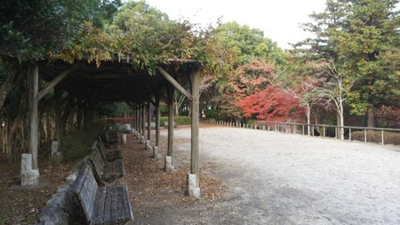 f:id:tsuchiura:20171115221507j:image