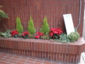 20111210144821