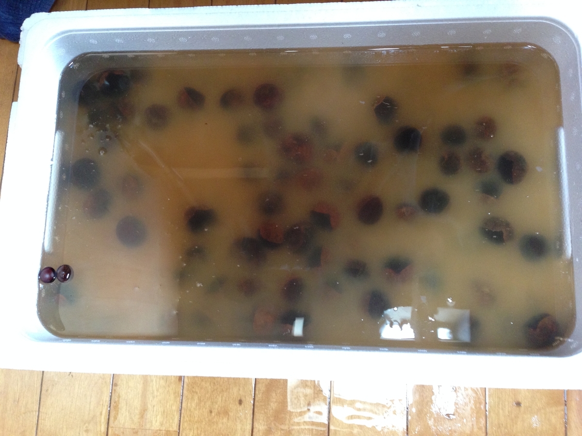栃の実の処理(栃餅の作り方) - tsudoinomori’s blog