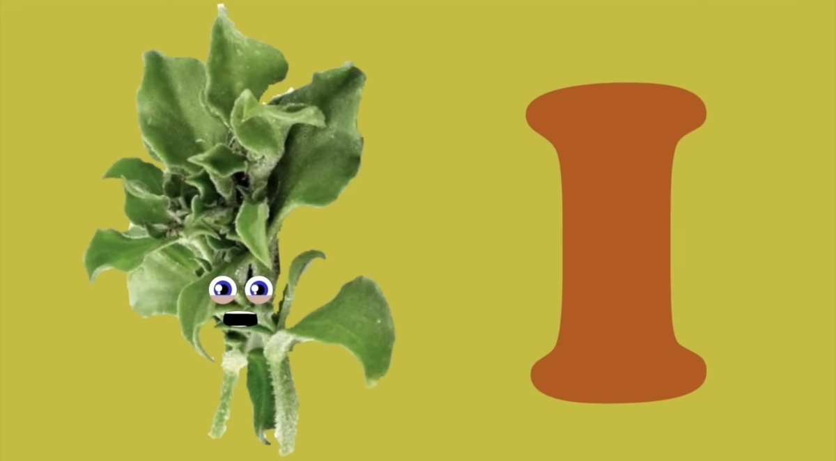 おうち英語〜The Vegetable Song〜 - めだかのがっこうNEO