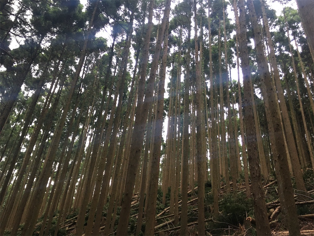 f:id:tsueokun:20210604135248j:image f:id:tsueokun:20210604135248j:image