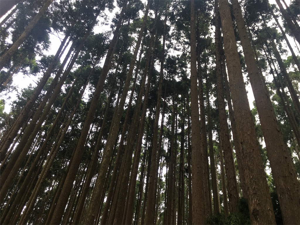 f:id:tsueokun:20210604135251j:image f:id:tsueokun:20210604135251j:image