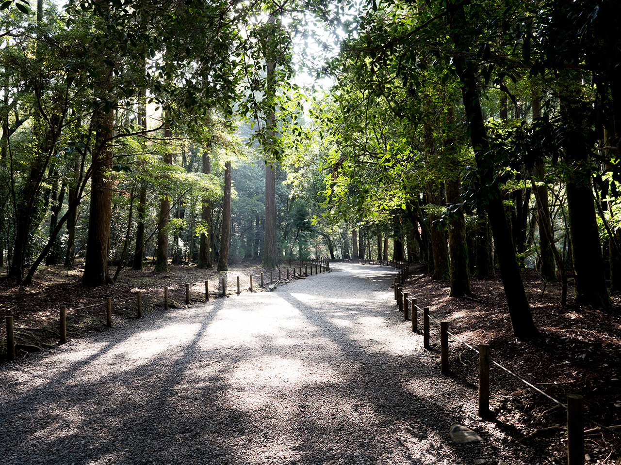 f:id:tsugayuki:20181224183506j:plain f:id:tsugayuki:20181224183506j:plain