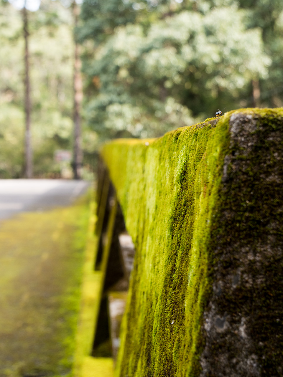 f:id:tsugayuki:20181224184134j:plain f:id:tsugayuki:20181224184134j:plain