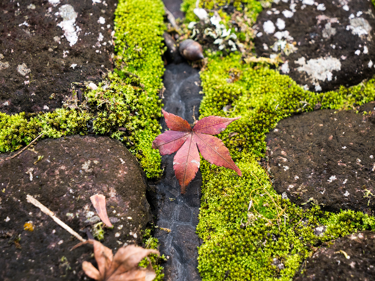 f:id:tsugayuki:20181224184210j:plain f:id:tsugayuki:20181224184210j:plain