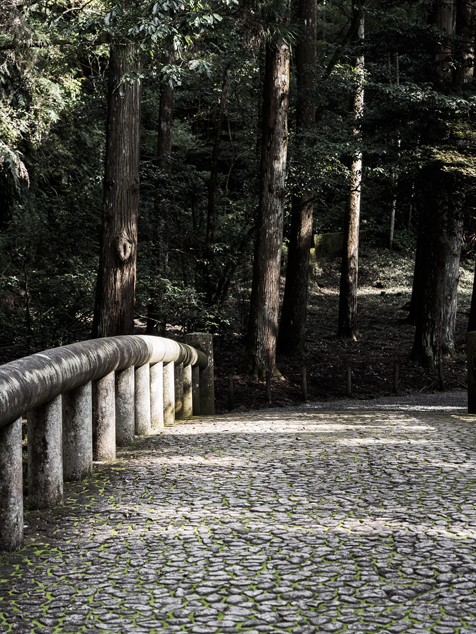 f:id:tsugayuki:20181224184245j:plain f:id:tsugayuki:20181224184245j:plain